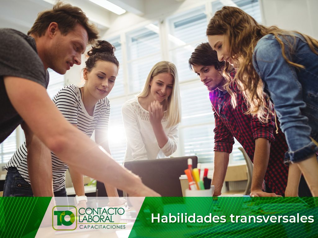 HABILIDADES TRANSVERSALES